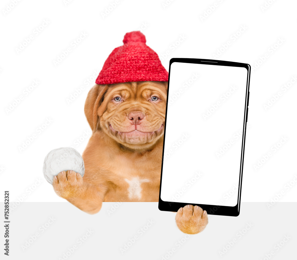 Aufkleber Smiling Mastiff puppy wearing warm hat with pompon holds snowball and holds smartphone with white blank screen in it paw above empty white banner. isolated on white background