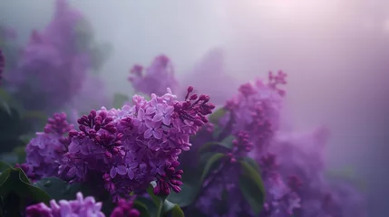 Foto auf Alu-Dibond Spring time lilac garden in the fog with sunlight near it, eroded surfaces, soft-focus portraits, adventure themed, monumental forms, close-up  © Furkan