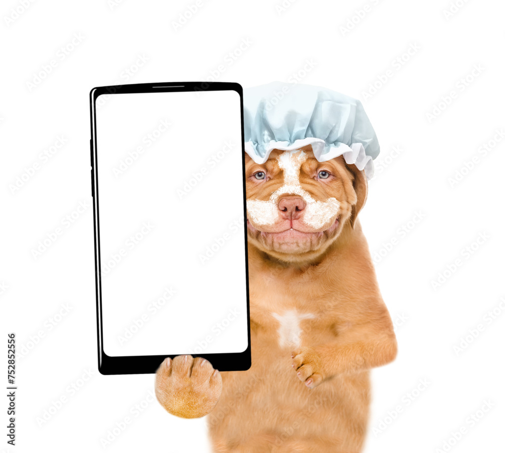 Aufkleber smiling mastiff puppy with shower cap it head holds big smartphone with white blank screen in it paw