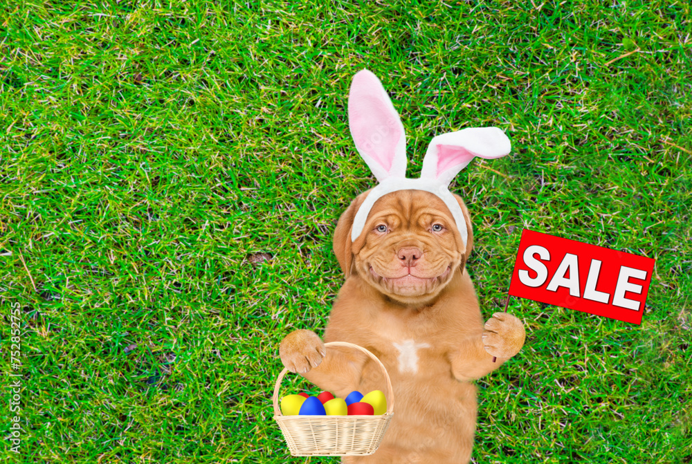 Aufkleber smiling mastiff puppy wearing easter rabbits ears shows signboard with labeled 
