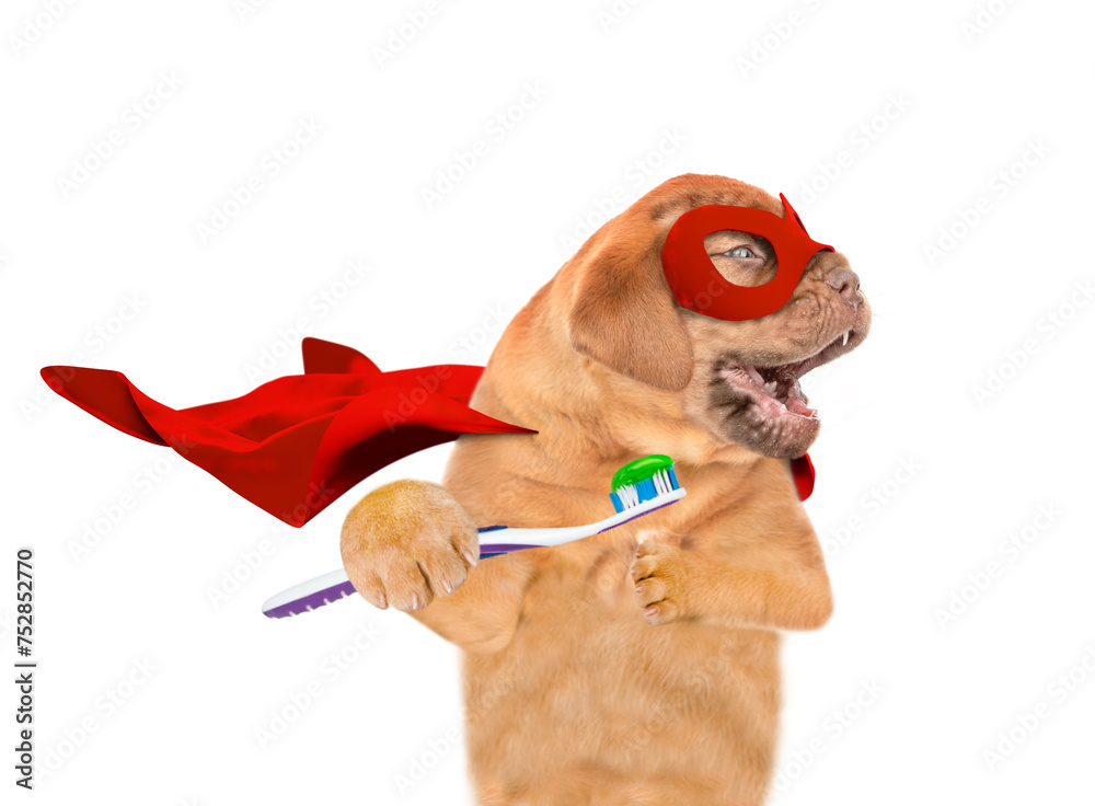 Aufkleber funny mastiff puppy wearing superhero costume holds toothbrush with toothpaste in it paws and looks 