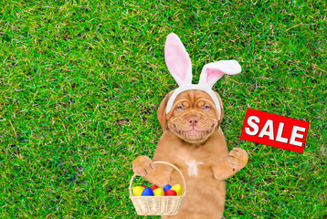 Smiling Mastiff puppy wearing easter rabbits ears shows signboard with labeled 
