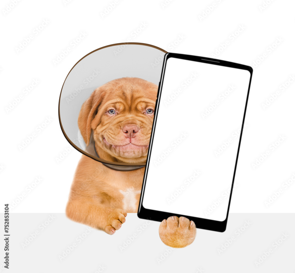 Poster Smiling Mastiff puppy with protective cone collar looking above empty white banner and shows big smartphone with white blank screen in it paw. Isolated on white background