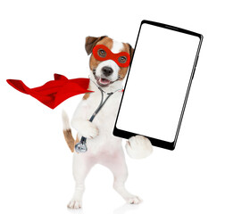 jack russell terrier wearing like a doctor with superhero cape and with stethoscope on his neck shows big smartphone with white blank screen in it paw. Isolated on white background