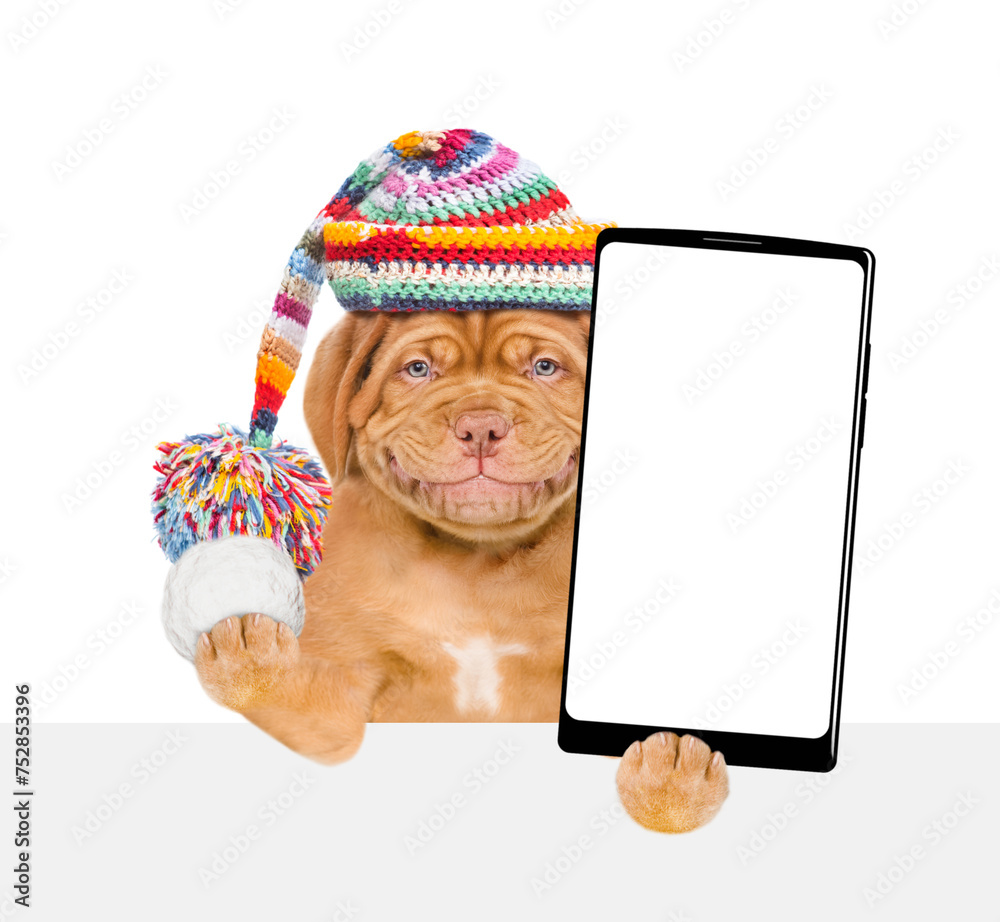 Aufkleber smiling puppy wearing a warm hat with pompon holds snowball and holds smartphone with white blank sc