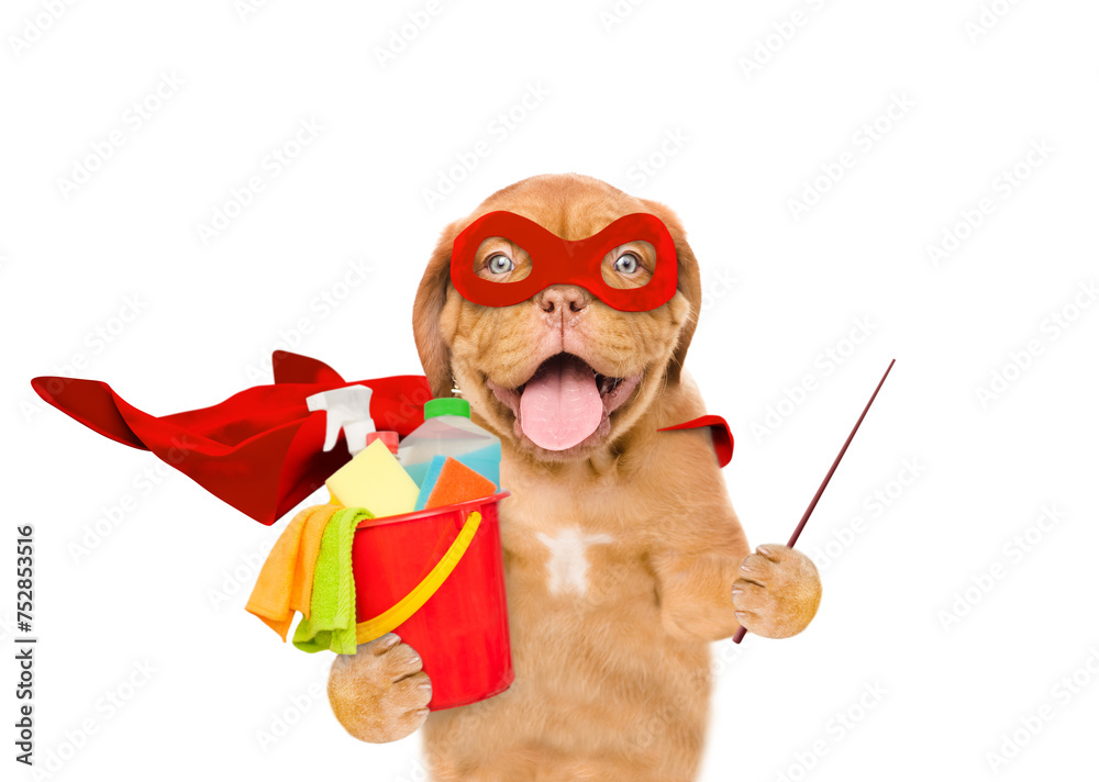 Poster funny mastiff puppy wearing superhero costume holds bucket with washing fluids and points away on em