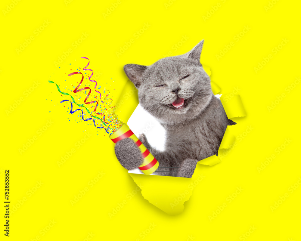 Aufkleber Happy cat looks through the hole in white paper and holds exploding firecracker