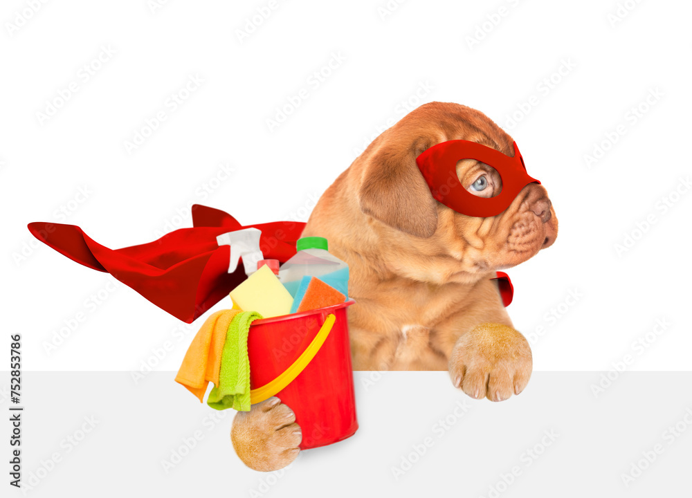 Aufkleber happy mastiff puppy wearing superhero costume holds bucket with washing fluids above empty white ban