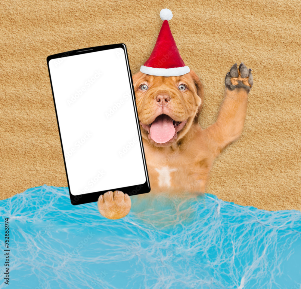 Poster happy mastiff puppy wearing red santa hat lying on sandy tropical beach at ocean and shows big smart