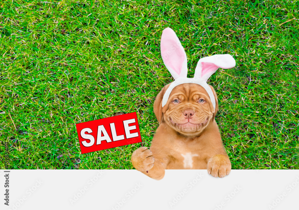 Aufkleber Smiling Mastiff puppy wearing easter rabbits ears shows signboard with labeled 