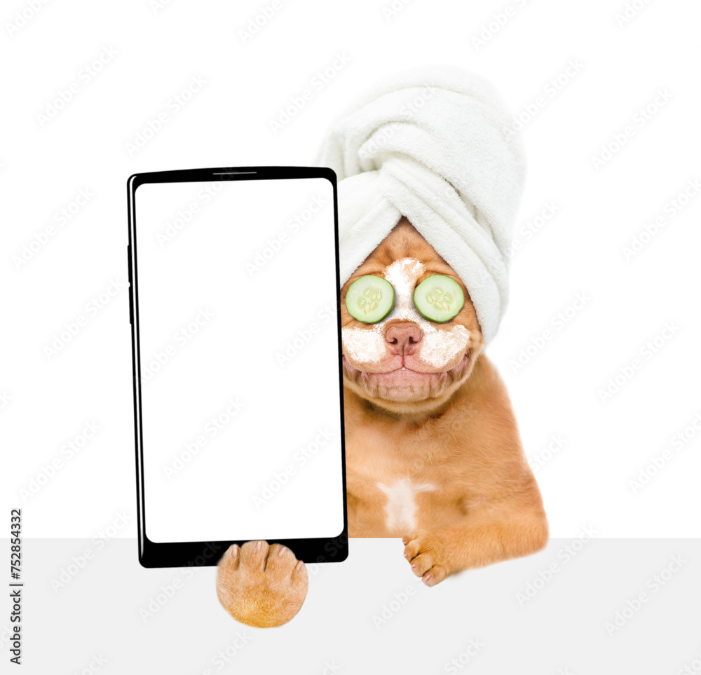 Poster Mastiff puppy with towel on it head with pieces of cucumber on it eyes and with cream on it face holds big smartphone with white blank screen in it paw above empty white banner. isolated on white