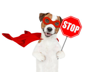 Funny jack russell terrier puppy wearing superhero costume showing stop sign. Isolated on white background © Ermolaev Alexandr