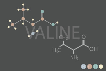 valine molecular skeletal chemical formula