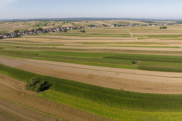 Fototapeta na wymiar Suloszowa village in Krakow County. Aerial drone view of growing grain in the fields. Beautiful village with houses and fields in Poland. Village in the middle of the field from drone aerial view.