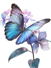 The Blue Morpho butterfly in minimalist style, perched on flowers