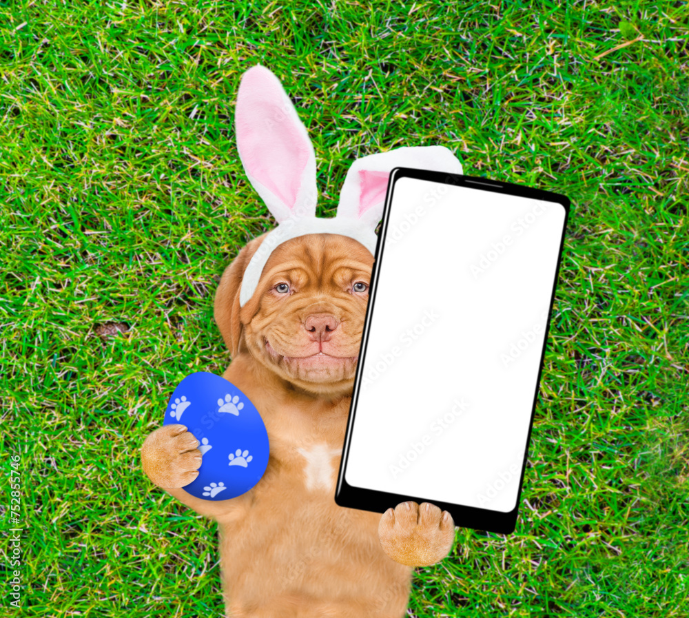 Poster smiling mastiff puppy wearing easter rabbits ears holds painted easter egg and big smartphone with w