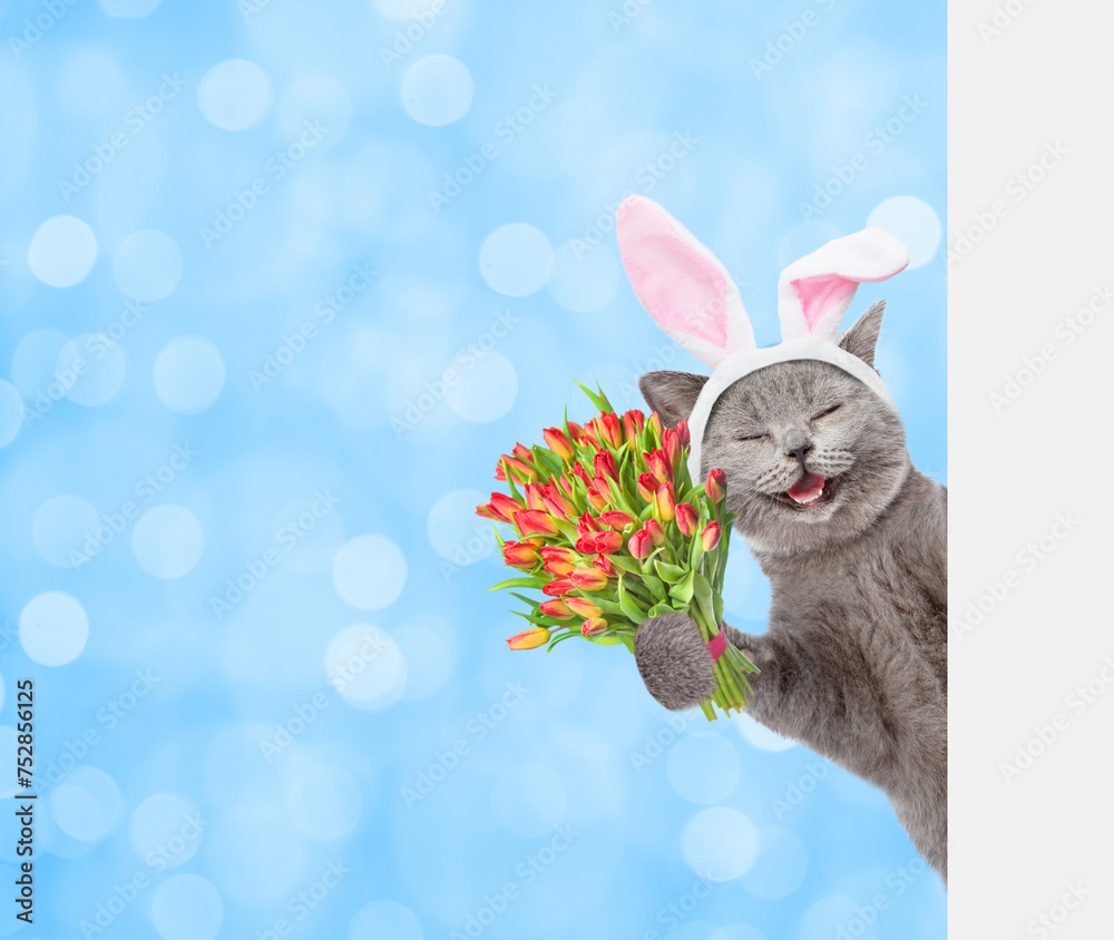 Poster happy kitten wearing easter rabbits ears holds holds bouquet of tulips and looks from behind empty w