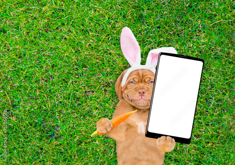 Poster smiling mastiff puppy wearing easter rabbits ears holds carrot and big smartphone with white blank s