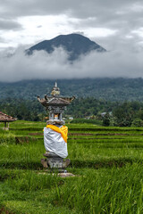 Jatiluwih Rice Terraces, Bali, Indonesia