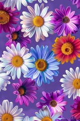 This image captures an array of vibrant daisies from an overhead perspective against a deep purple background, striking in its simplicity, seamless patern of flowers.