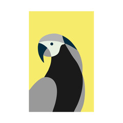 illustration of a parrot