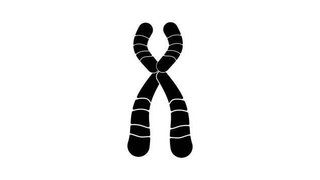 Chromosome emblem, black isolated silhouette