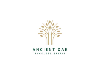 Professional Oak Tree Logo Design