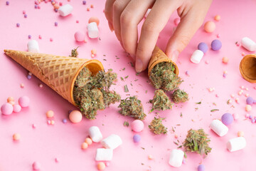 Dry buds of medical marijuana lie in ice cream waffle cones, a woman's hand holds on a pink...