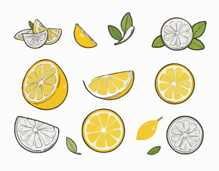 Icon lemon. Set fresh lemon fruits and slice. Isolated on white background. Vector illustrations 
