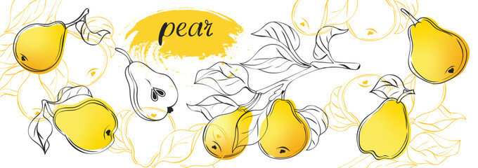 Isolated cut pear fruits. Collection of yellow pear pieces of different shapes isolated on white background