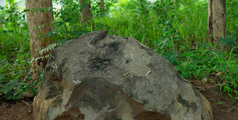 natural stones in the forest