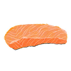 salmon illustration