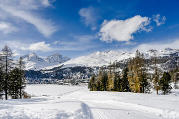 St. Moritz, St. Moritzersee, Oberengadin, Alpen, Corviglia, Piz Nair, Piz Julier, Piz Albana, Winter, Wintersport, Winterwanderung, Stazerwald, Langlauf, Schneedecke, Graubünden, Schweiz