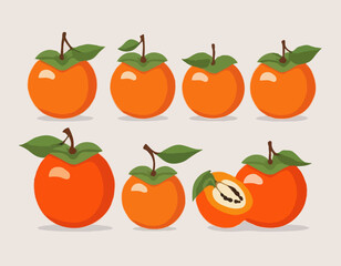  persimmon fruit. Isolated vector illustration of colourful fruit on transparent background.