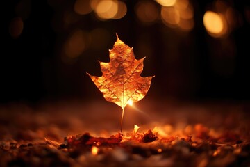 Bonfire Stories: Leaf with bokeh lights from a bonfire, evoking the atmosphere of storytelling around the fire.