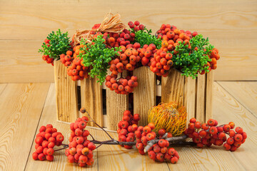 Red rowan berries on a rowan tree. with green leaves. They are in a wooden basket. A rowan tree on...