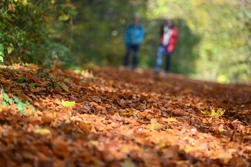 Fototapeta premium Autumn hiking near the river Traun