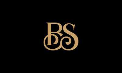 BS, SB, B, S, Abstract Letters Logo Monogram