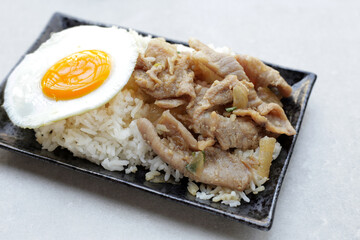 Rice with Pork sliced stir fried soy sauce with  fried egg