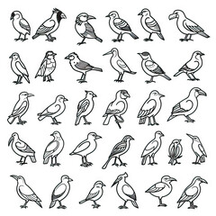 Naklejka premium Avian Adventure - Birds from Every Continent. Sticker Collection. Multiple. Vector Icon Illustration. Icon Concept Isolated Premium Vector. Line Art. Black Outline. White Background.