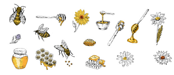 Honey set of sketch bee, spoon, jar, honeycomb with yellow colors - obrazy, fototapety, plakaty