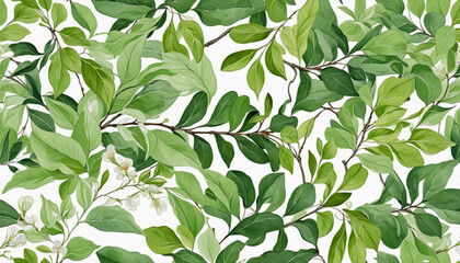 birch tree branches and leaves in watercolor style, isolated on a transparent background for design layouts