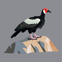 vulture bird on the rock flat vector illustration