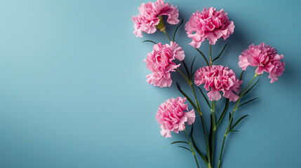 Elegant Carnation Bloom on a Blue Background with Copy Space – Botanical Beauty in Vibrant Nature