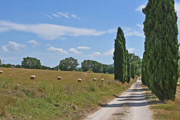 Strada fra i cipressi e balle di fieno nella campagna di Soriano nel Cimino, Viterbo, Tuscia - Lazio - obrazy, fototapety, plakaty