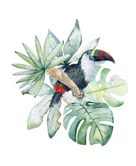 Tropical watercolor illustration with parrot and leaves. - 752901109