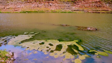 Greenish and stagnant water in the rainwater collection basin for irrigation of cultivated fields due to global warming. Climate change concept