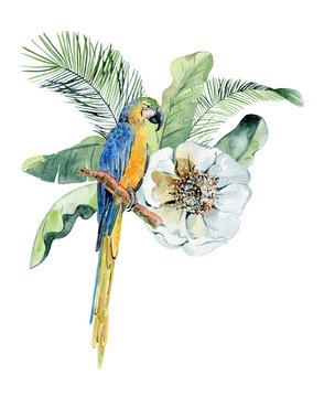 Tropical watercolor illustration with parrot, leaves and flowers.