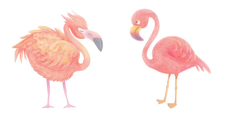 cute flamingo watercolour vector illustration