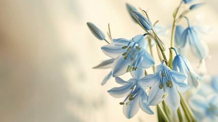 Obraz premium A delicate and intricate bluebell, its soft blue hues standing out sharply in 4K HDR against a solid cream background, capturing the essence of spring.